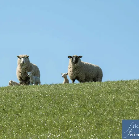 Apartament Friesenhain *