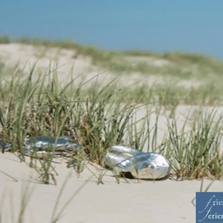 Apartament Friesenhain Sankt Peter-Ording