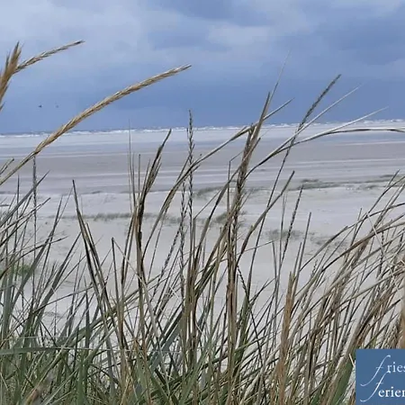 Apartament Friesenhain Sankt Peter-Ording